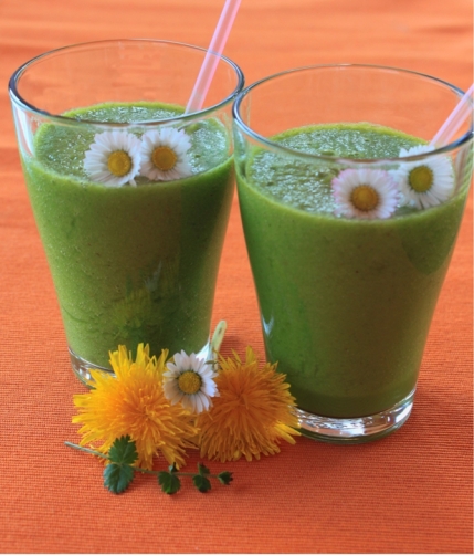 Seminar: die Heilkraft der Ringelblume